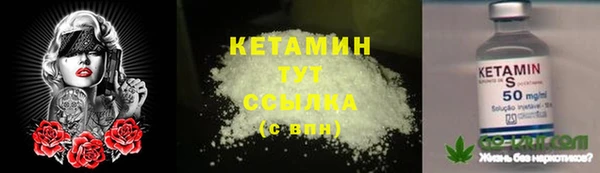 ECSTASY Богданович