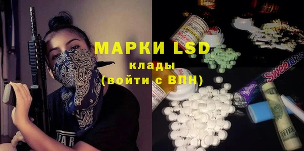 ECSTASY Богданович